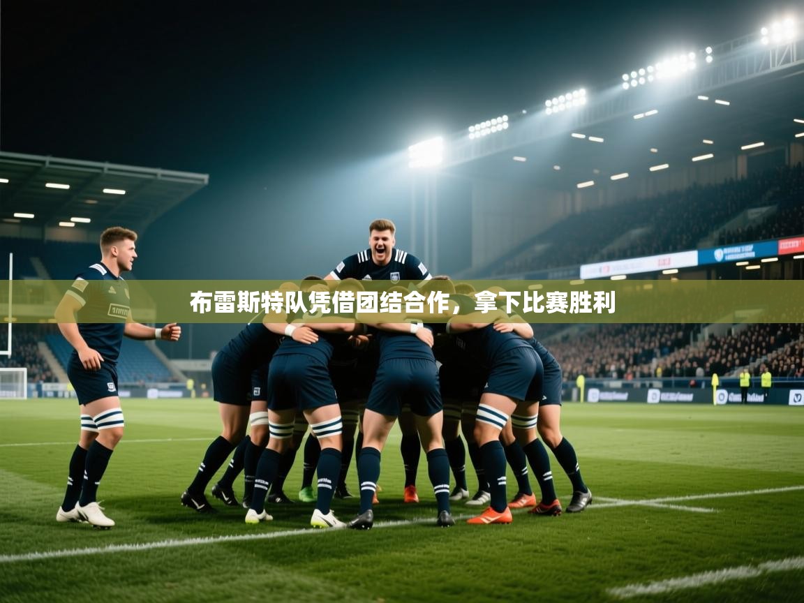 布雷斯特队凭借团结合作，拿下比赛胜利  第2张