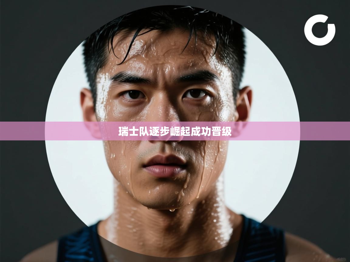 瑞士队逐步崛起成功晋级  第1张