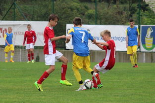 云开体育官网入口-埃弗顿告负埃弗顿无力回天，遗憾失利